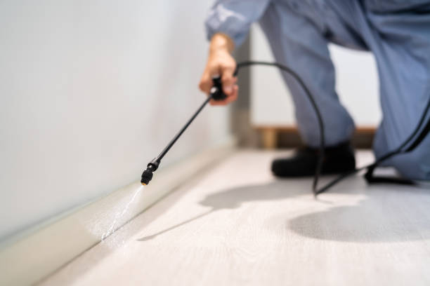 Licensed Termite Control service in Colesville, MD - Nex Pest Control