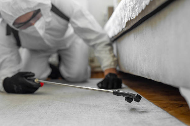 Professional Termite Control technician working in Colesville, MD