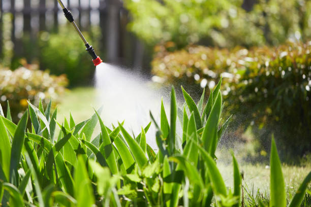 24/7 Emergency Termite Control experts in Colesville, MD