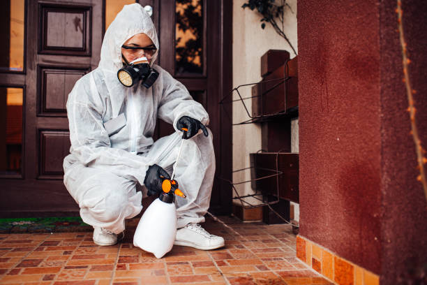 Reliable Termite Control contractor in Colesville, MD by Nex Pest Control