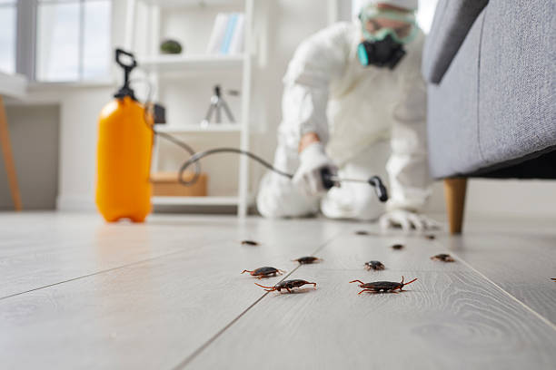 Affordable Termite Control solutions in Colesville, MD