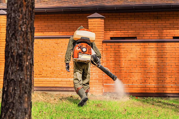 Top rated local Termite Control specialists in Colesville, MD
